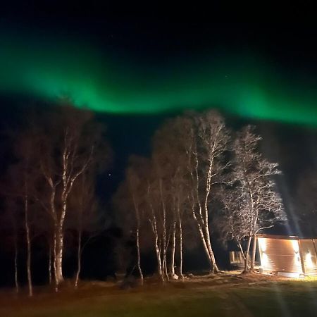 Cottage With Good Standard Next To Neiden River Екстер'єр фото