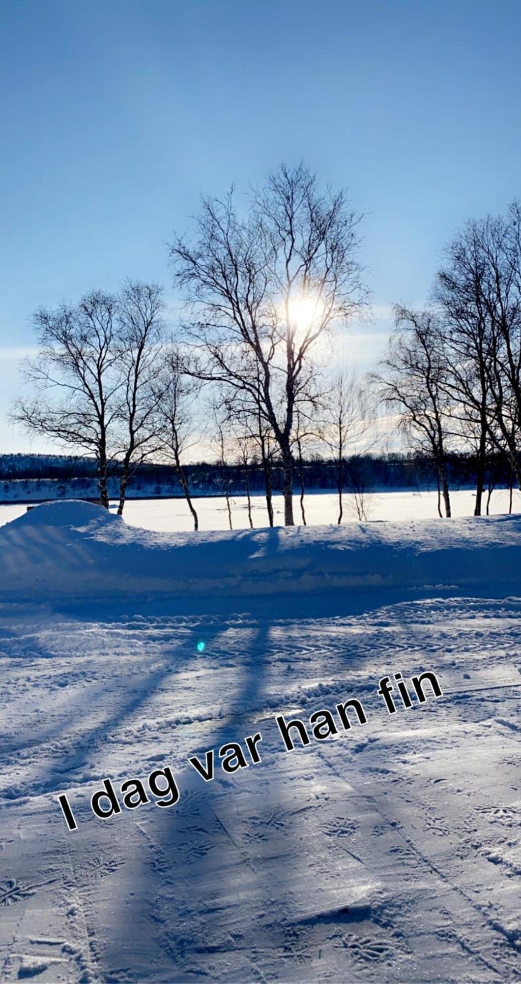 Cottage With Good Standard Next To Neiden River Екстер'єр фото