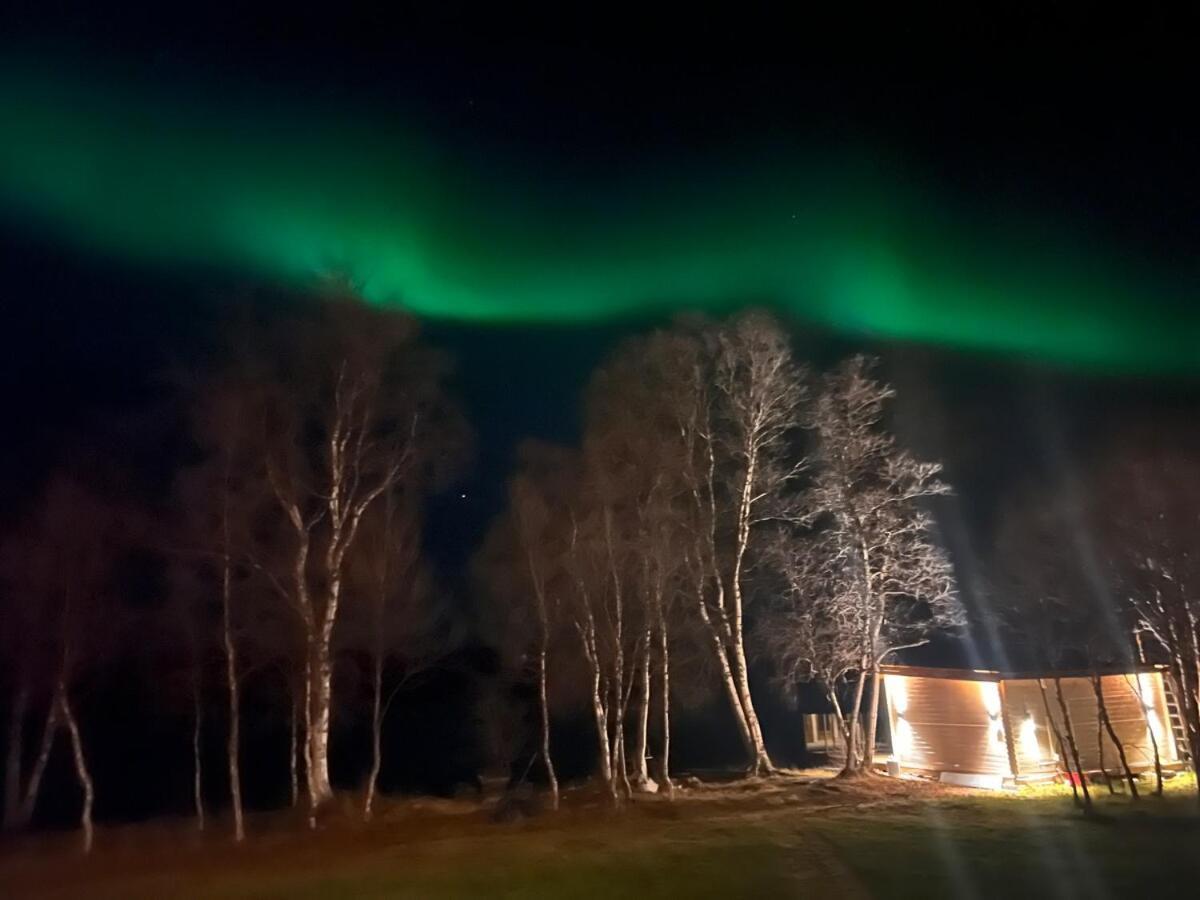 Cottage With Good Standard Next To Neiden River Екстер'єр фото